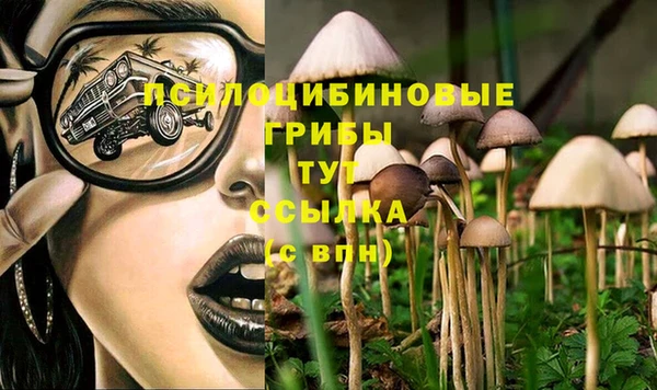 каннабис Армянск