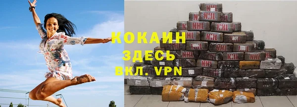 индика Алексин