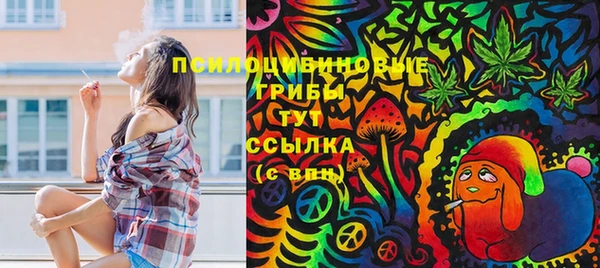PSILOCYBIN Аркадак