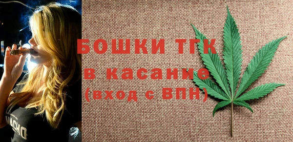 PSILOCYBIN Аркадак
