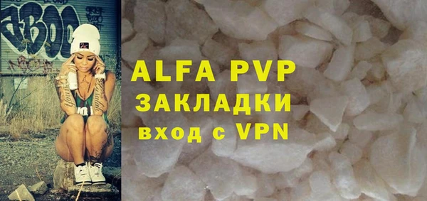 PSILOCYBIN Аркадак