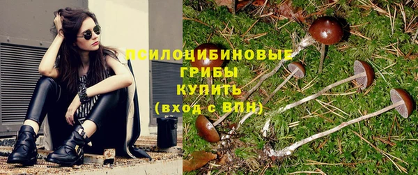 PSILOCYBIN Аркадак