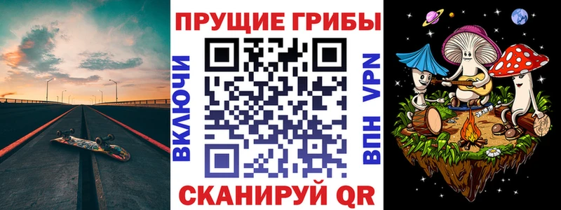 продажа наркотиков МЕГА маркетплейс Псилоцибиновые грибы Psilocybine cubensis Рудня